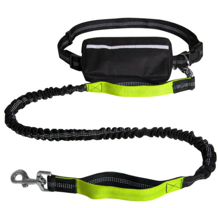 AeroPup Hands Free Lead
