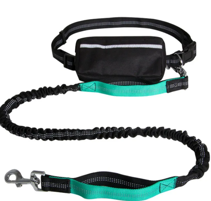 AeroPup Hands Free Lead