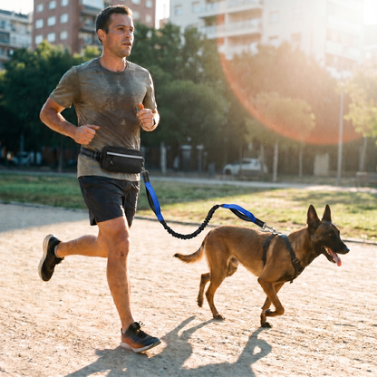 AeroPup Hands Free Lead